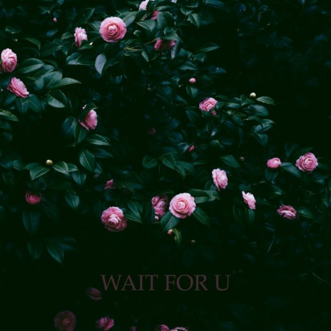 Wait For U | Boomplay Music