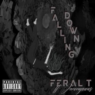 Falling Down (feat. Janonymous)