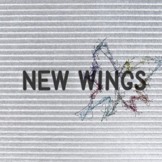 New Wings