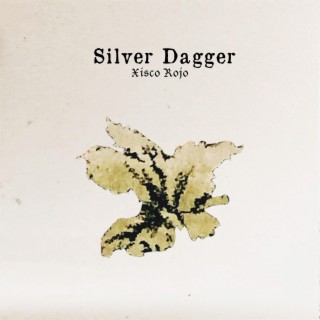 Silver Dagger