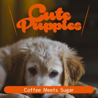 Coffee Meets Sugar