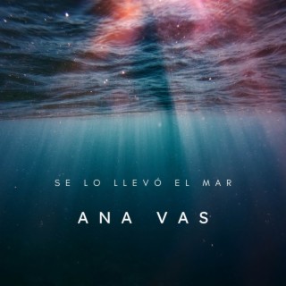 Se lo llevó el mar lyrics | Boomplay Music