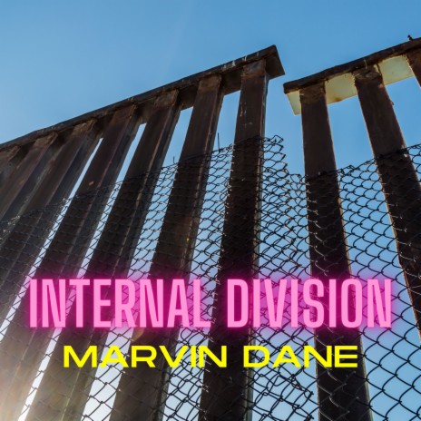 Internal Division | Boomplay Music