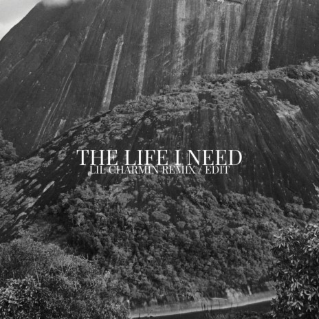 The Life I Need (Lil Charmin Remix / Edit) ft. Lil Charmin | Boomplay Music