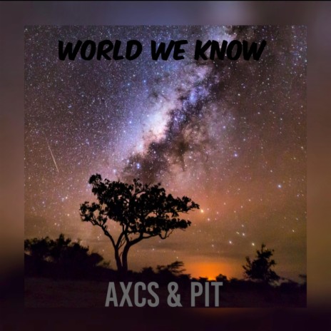 World We Know (with Pit) | Boomplay Music