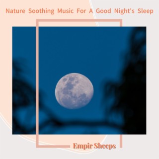 Nature Soothing Music for a Good Night's Sleep