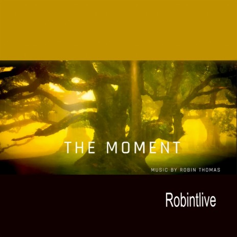 THE MOMENT | Boomplay Music