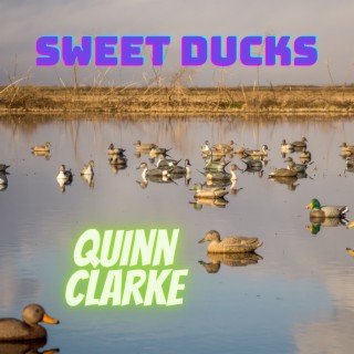 Sweet Ducks