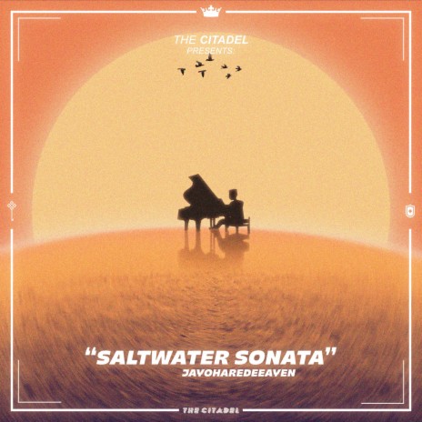 Saltwater Sonata | Boomplay Music