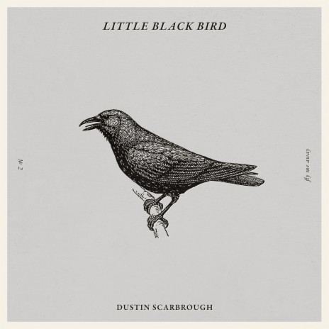 Little Black Bird | Boomplay Music