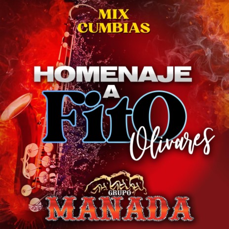 Homenaje a Fito Olivares (Live) | Boomplay Music