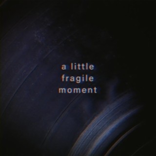 a little fragile moment