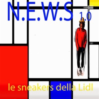 le sneakers della Lidl