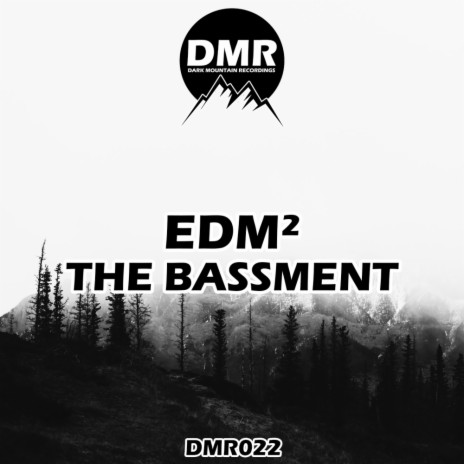 The Bassment | Boomplay Music