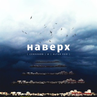 Наверх