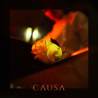 Causa