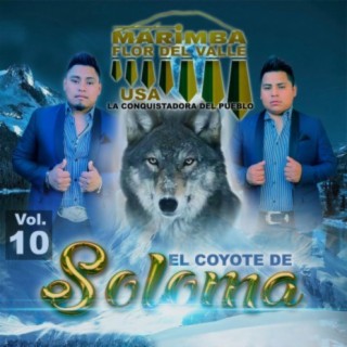 El Coyote De Soloma