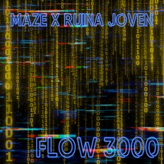 Flow 3000