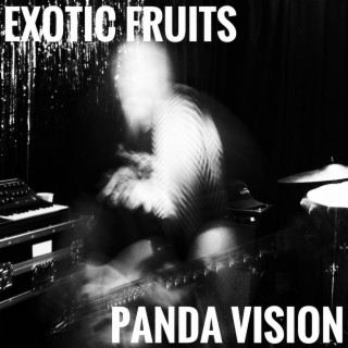 Panda Vision