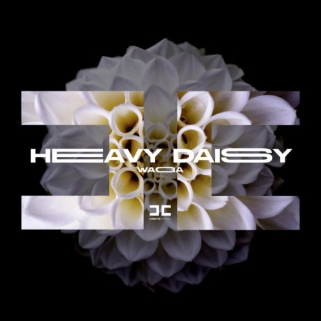 Heavy Daisy | Boomplay Music