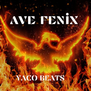 AVE FENIX