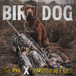 Bird Dog