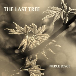 The Last Tree lyrics | Boomplay Music