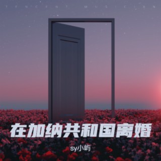 在加纳共和国离婚 lyrics | Boomplay Music