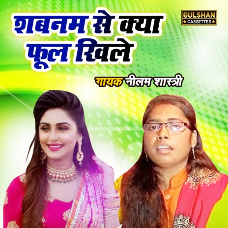 Shabnam Se Kya Phool Khile | Boomplay Music