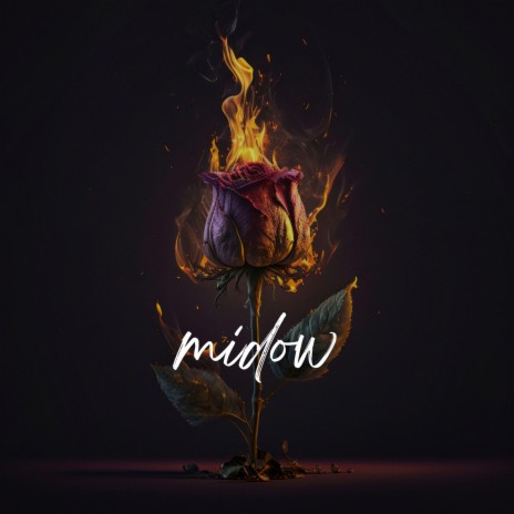 Midow | Boomplay Music