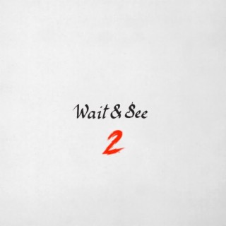 Wait&See 2