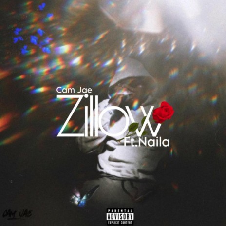 Zillow ft. Naila Jae | Boomplay Music