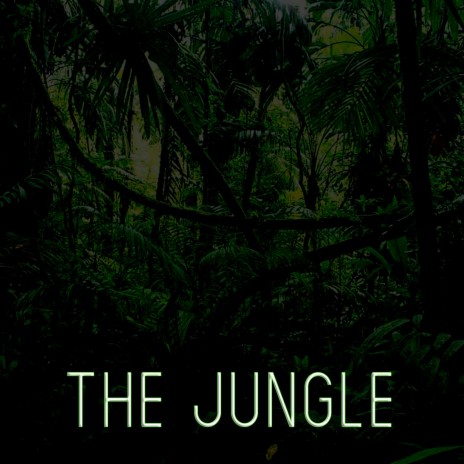 The Jungle (Radio Edit)