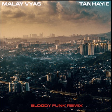 Tanhayie (feat. Bloody Funk) (Remix) | Boomplay Music