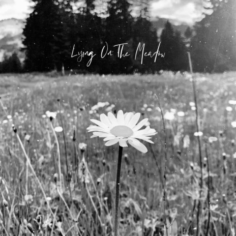 Lying On The Meadow | Boomplay Music