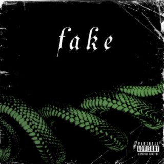 FAKE ft. Kyll Mara lyrics | Boomplay Music