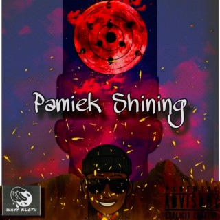 Pamiek Shining