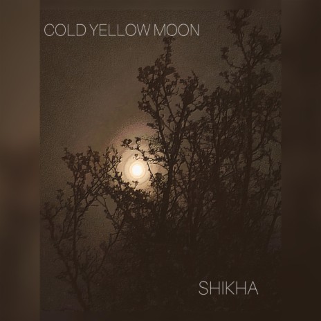 Cold Yellow Moon | Boomplay Music