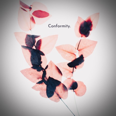 Conformity | Boomplay Music