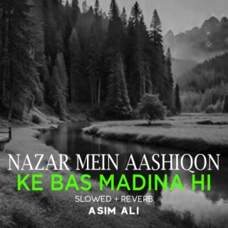 Nazar Mein Aashiqon Ke Bas Madina Hi Lofi