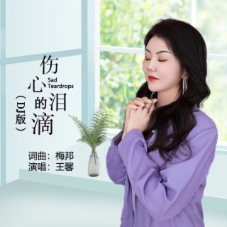 伤心的泪滴DJ版 lyrics | Boomplay Music