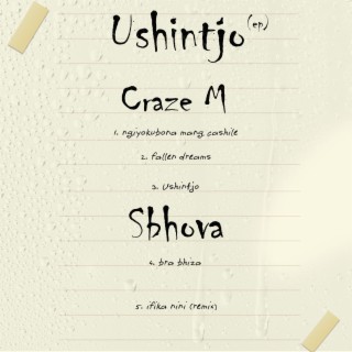 Ushintjo EP