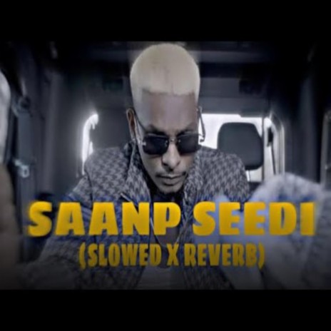 THORATT SAANP SEEDHI SLOWED REVERB | Boomplay Music