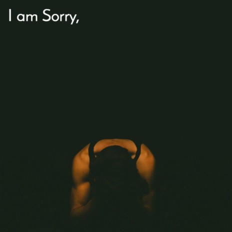 I'm Sorry | Boomplay Music