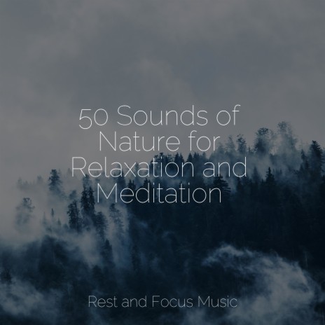 Quietness and Peace | Boomplay Music