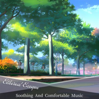 Soothing And Comfortable Music