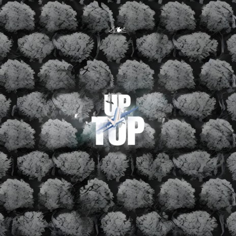 Up Top | Boomplay Music