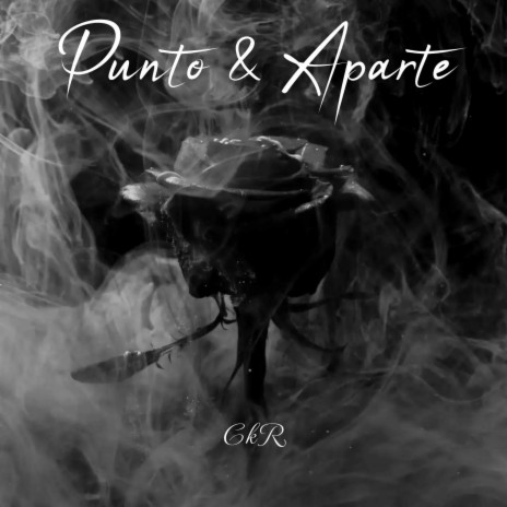 Punto Y Aparte | Boomplay Music