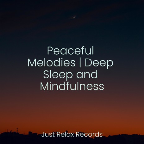 Echoes of the Meadows ft. Best Relaxing SPA Music & Sleepy Night Music | Boomplay Music