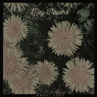 May Flowers